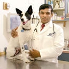 Affordable Pet Vet Clinic