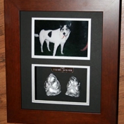 Gallery Image Number 4