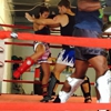 jacksonville muay thai gallery