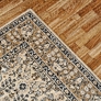 Premier Carpet Cleaning and Restoration - Billings, MT