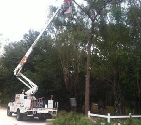 Deans Tree Services - Sarasota, FL