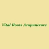 Vital Roots Acupuncture gallery