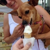 Andy's Frozen Custard gallery