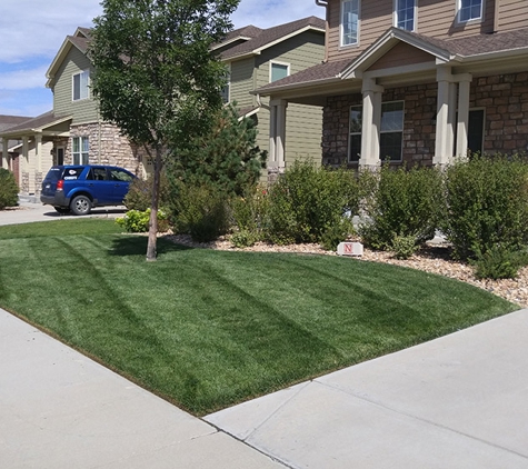 Epic Lawn Pro - Longmont, CO