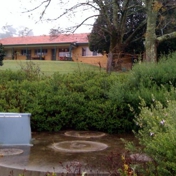 Gallery Image Number 4