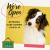 Uptown Animal Hospital & Urgent Care gallery