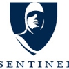 Sentinel Audit & Risk, LLC gallery