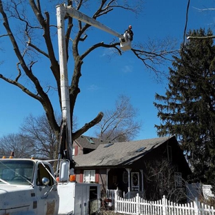 Epic Tree Service - Galva, IL