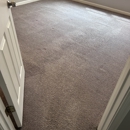 Hippo Cleaning Services - Carpet & Rug Cleaners