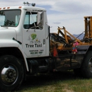 Tree Taxi - Stump Removal & Grinding