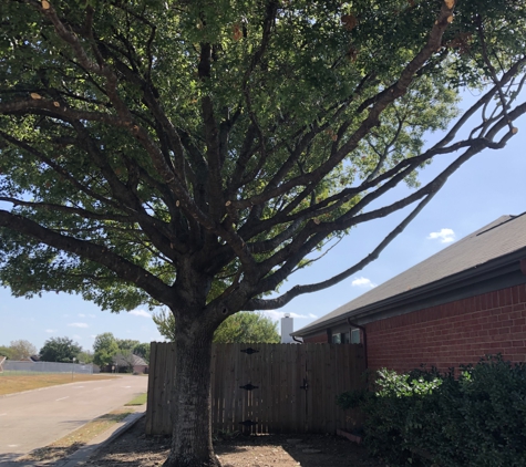 Liberty Tree Service - Waxahachie, TX. Nice and clean with corner visible again