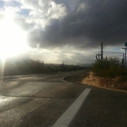 Saguaro National Park-Tucson Mountain District