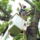 Gray's Tree Service - Tree Service