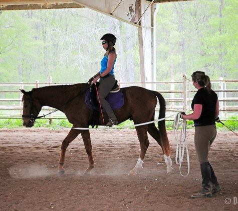 Deanna Thompson Dressage - Catawba, SC