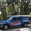 Wildout Animal And Pest Removal - Tampa gallery