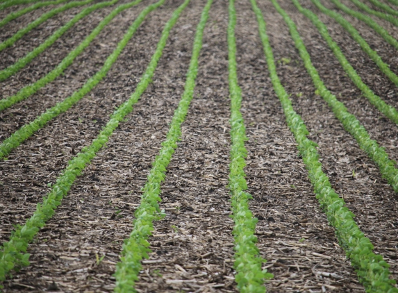 Ag Water Management - Onarga, IL