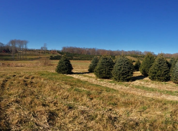 Geer Tree Farm - Jewett City, CT