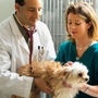 Southern Hills Veterinary Hospital