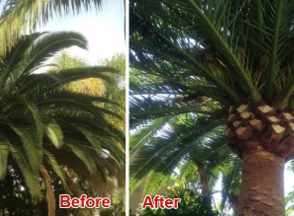 Reasonable Tree Service & Landscaping Inc - Southwest Ranches, FL