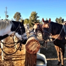 Wine Country Trails by Horseback - Horse Stables