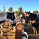 Wine Country Trails by Horseback