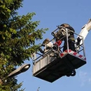 Quality Tree Service, LLC - Tree Service