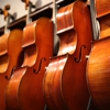 Sams Strings Violin Shop gallery