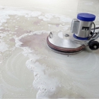 Ward Carpet Cleaning Services