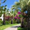 Diven Tree Services gallery