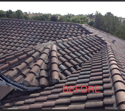 Fantastic Roof Cleaning