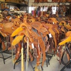 Robert Teskey Saddlery By Western Suppliers