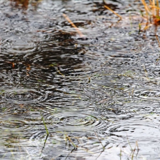 Sunset Air and Home Services - Fort Myers, FL. https://sunset-air.com/how-rain-affects-your-ac-unit-in-sw-florida/