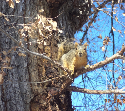 Berrys Animal and Pest Control - Denver, CO