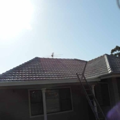 Gallery Image Number 7