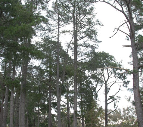 Greenwood Consulting Pty Ltd - Mount Dandenong, VIC