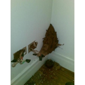 Gallery Image Number 1