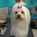 Polly's Pet Grooming - Pet Grooming