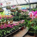 Perfect Nursery & Landscape Designs - Garden Centers