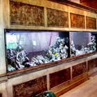 Sea Clear Aquarium