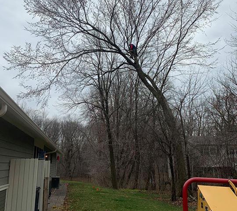 White Oak Tree Care Inc - West Chicago, IL