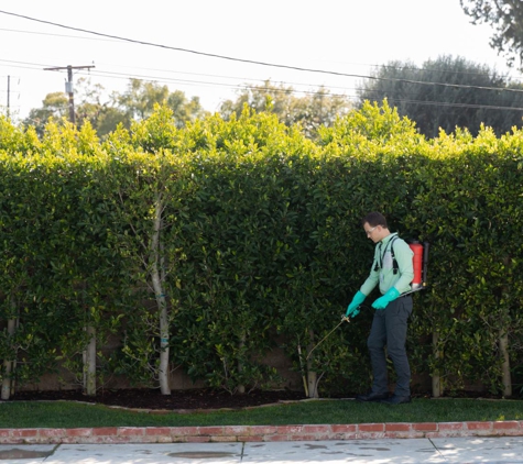 Aptive Pest Control - Phoenix, AZ