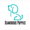 Glamorous Puppies gallery