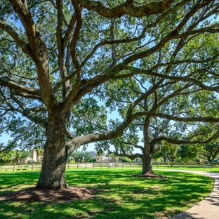 Terry's Landscape - Katy, TX