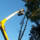 Parker's General Tree Service - Tree Service