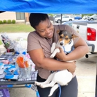 Petsense by Tractor Supply
