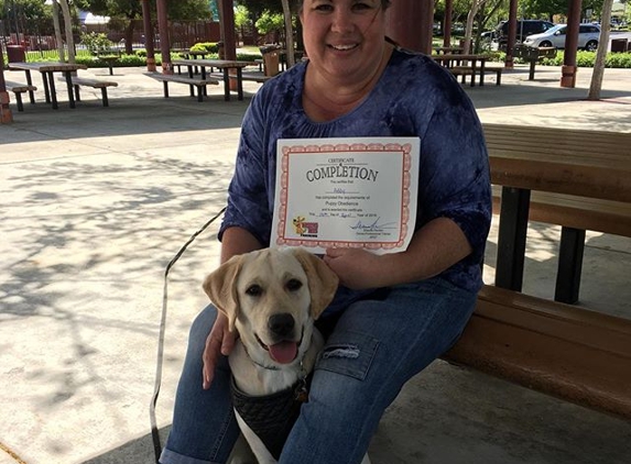 Wagging Tails Training - Brentwood, CA