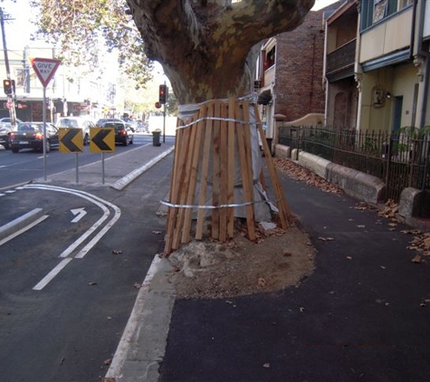Abacus Tree Services - Hornsby, NSW