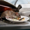EcoShield Pest Solutions gallery