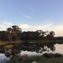 Cypress Creek Natural Area - Parks