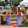 Silver Oak Jumper Tournament gallery